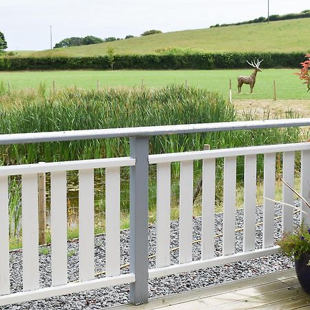 Birch Lodge - Uk30006 Lindal in Furness المظهر الخارجي الصورة