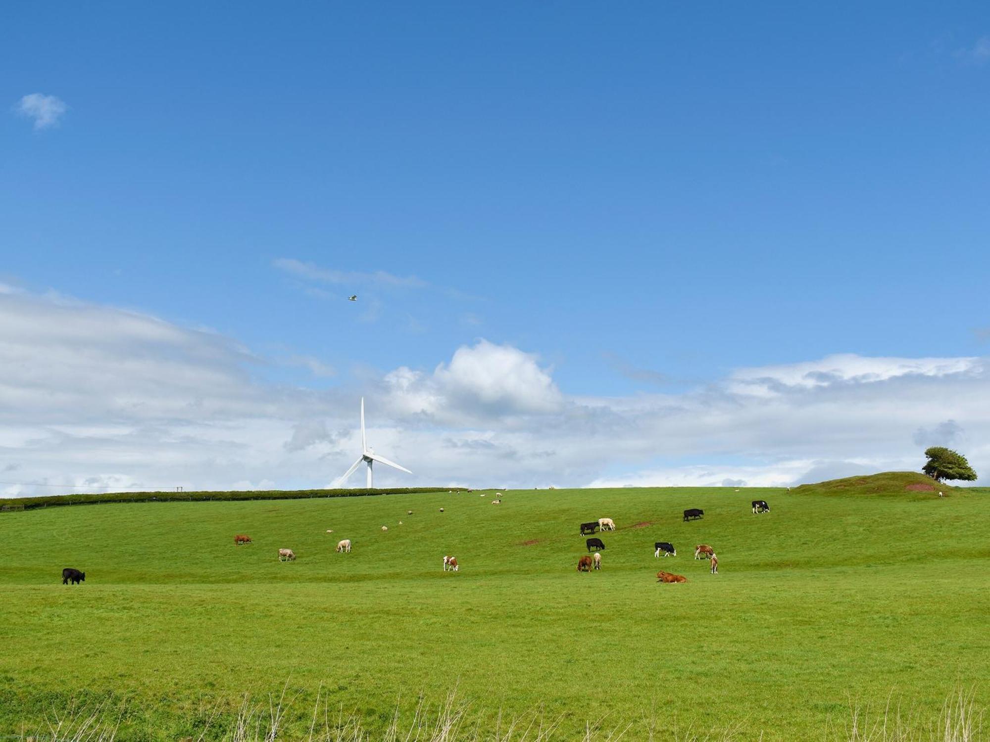 Birch Lodge - Uk30006 Lindal in Furness المظهر الخارجي الصورة