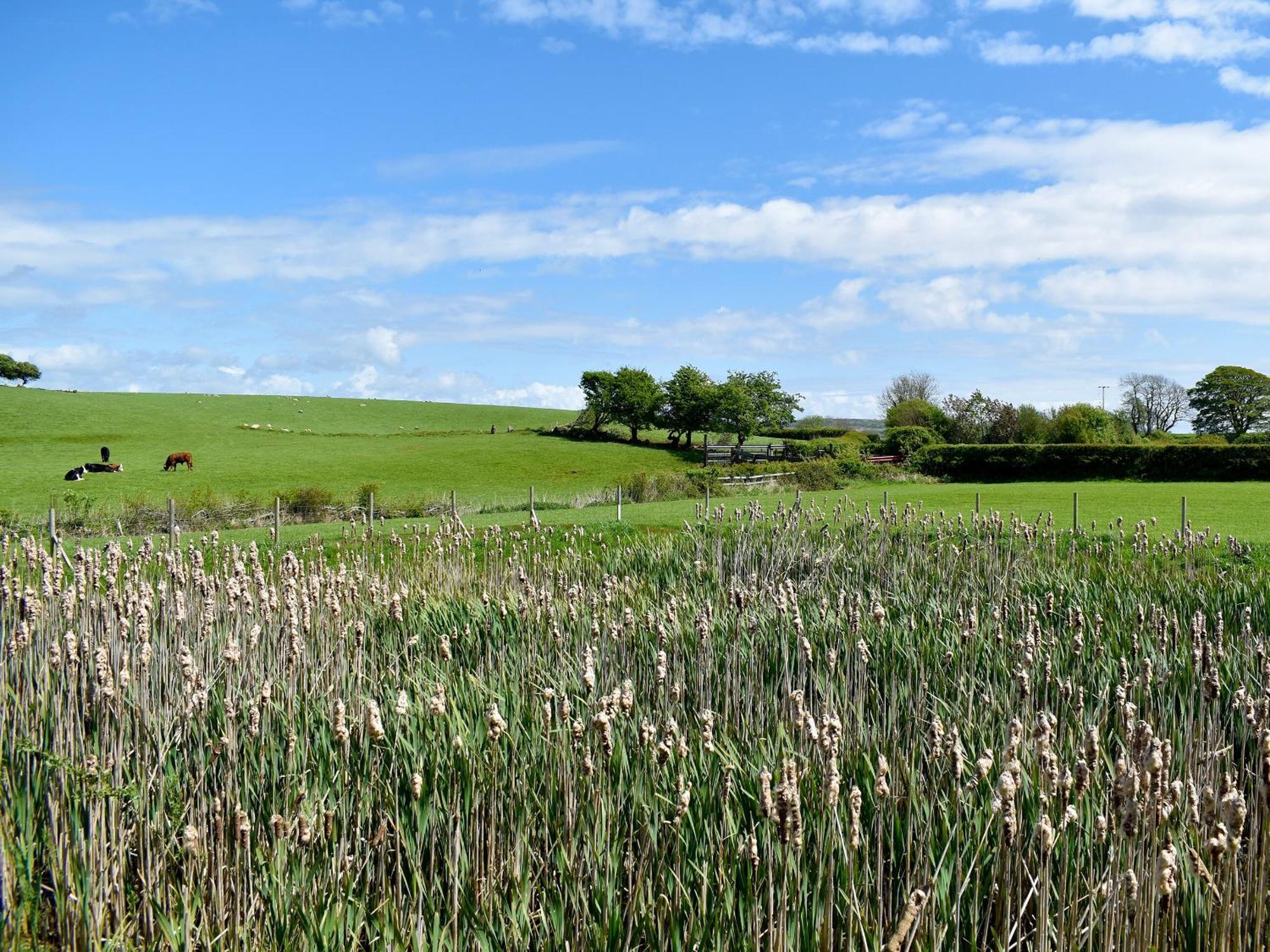 Birch Lodge - Uk30006 Lindal in Furness المظهر الخارجي الصورة