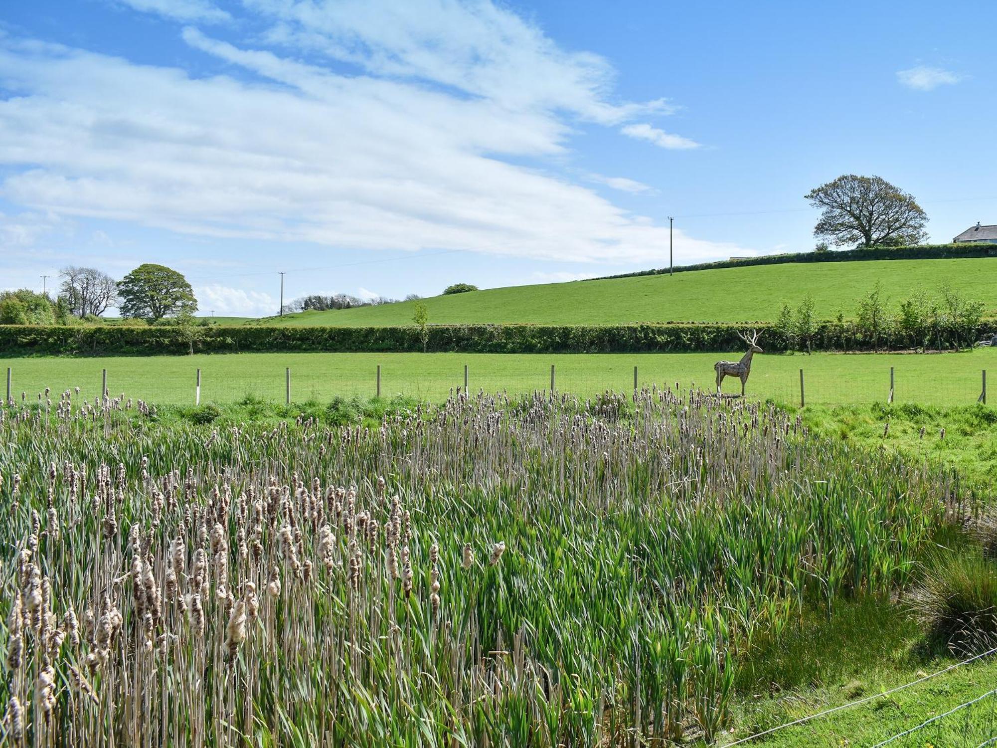 Birch Lodge - Uk30006 Lindal in Furness المظهر الخارجي الصورة
